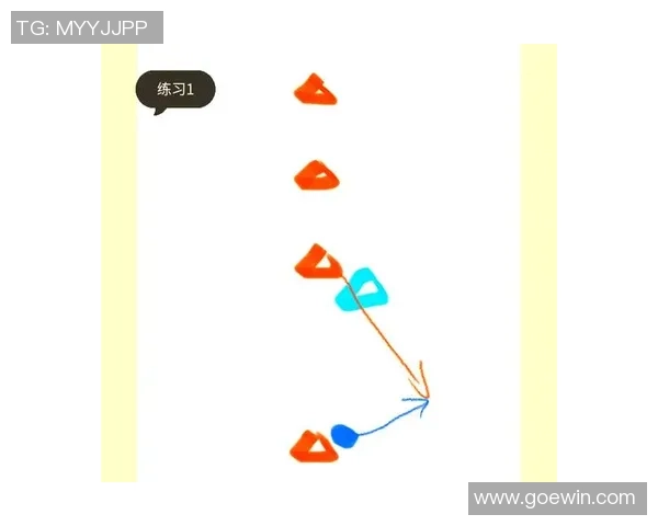 武汉飞盘队区域防守分析与战术得失探讨